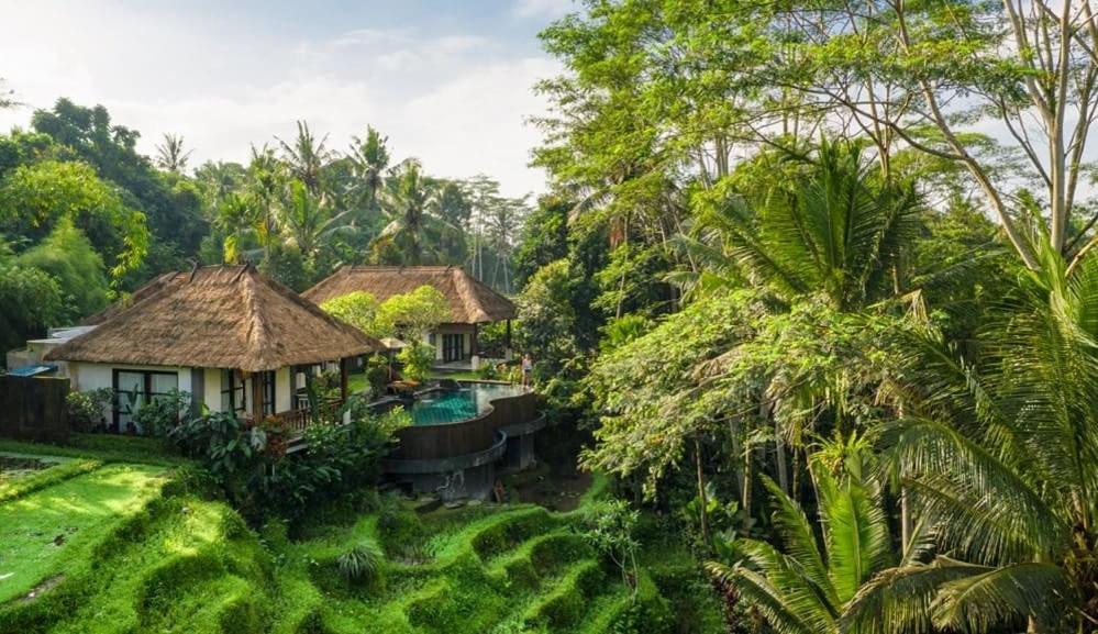 Villa Amrita Убуд Экстерьер фото